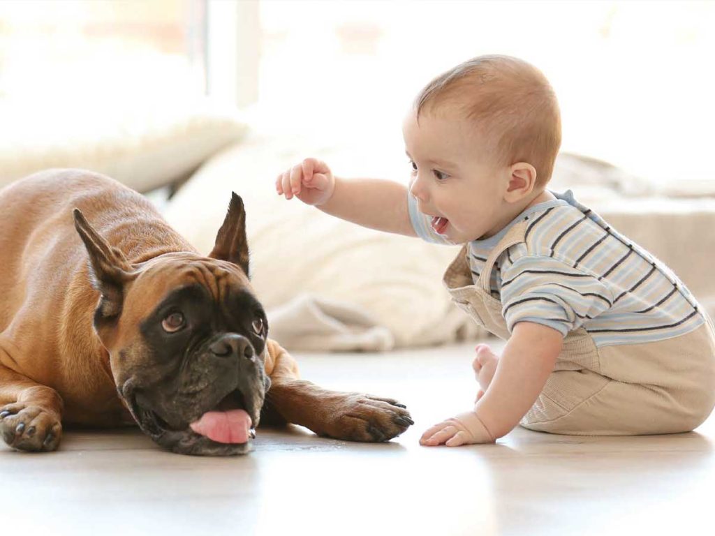 תינוק וכלב נהנים ממערכת החימום הרצפתית